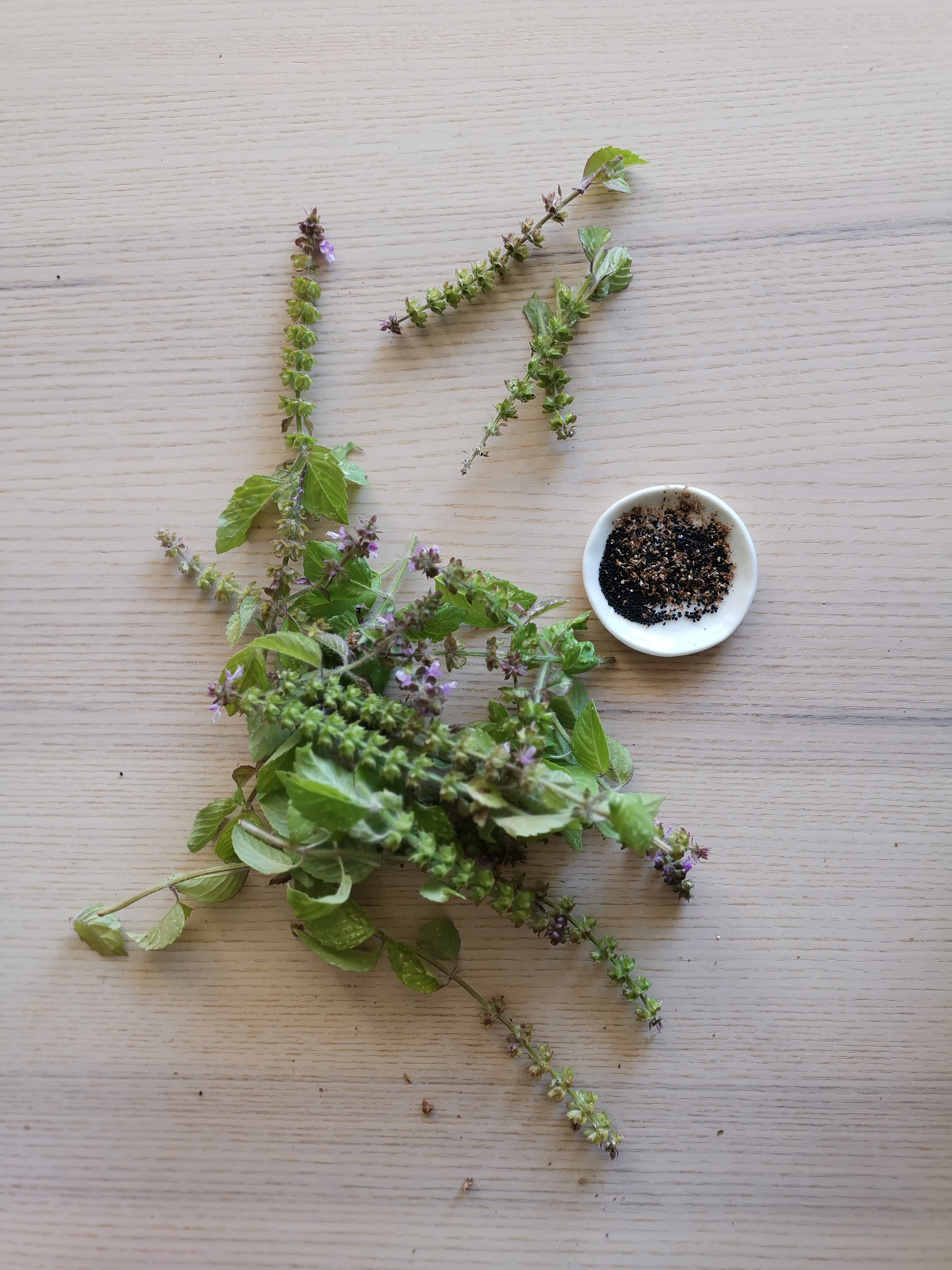 Un bouquet d'inflorescences de tulsi posé à côté d'un coupelle contenant des grains de tulsi