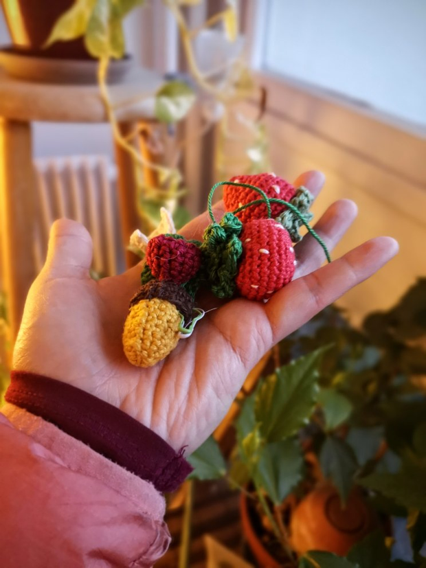 Une main qui tient plusieurs créations au crochet. On distingue deux fraises,
une framboise et un gland. En arrière-plan, on peut voir un hibiscus de Chine.
