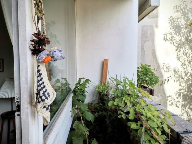 Vue en coupe d'un balcon sur lequel on voit beaucoup de plantes vertes
et une grande fenêtre. Accroché sur le cadre de cette fenêtre pend un doudou
en crochet qui représente une tête de lapin avec une carotte.
