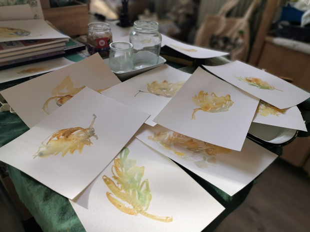 Plusieurs illustrations à l'aquarelle étalées sur un bureau. Les illustrations
représentent des feuilles vertes et dorées.
