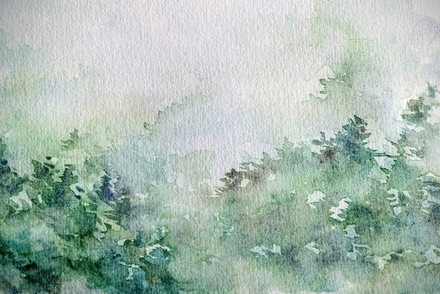 Illustration à l'aquarelle qui représente de la brume autour de sapins verts.
